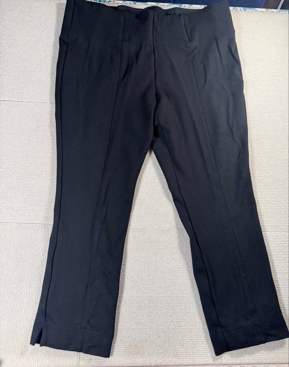 Black Stretch Pull On Ankle Pants Slim Factor Size 1X Office Corporate Workwear